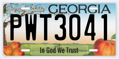 GA license plate PWT3041