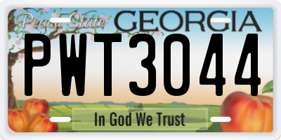 GA license plate PWT3044