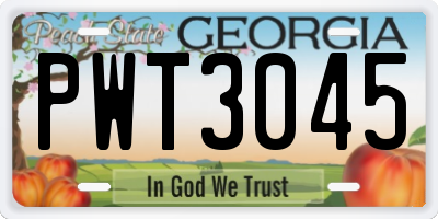 GA license plate PWT3045