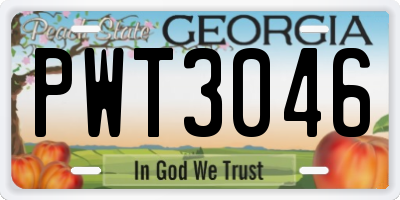 GA license plate PWT3046