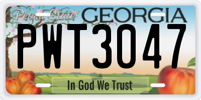 GA license plate PWT3047