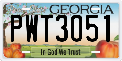 GA license plate PWT3051