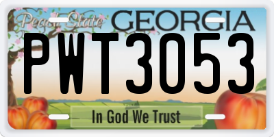 GA license plate PWT3053