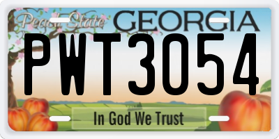 GA license plate PWT3054