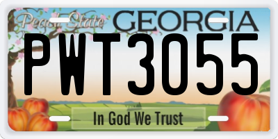 GA license plate PWT3055