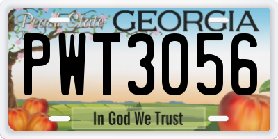 GA license plate PWT3056