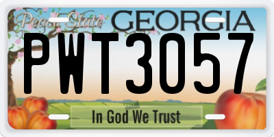 GA license plate PWT3057