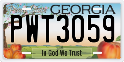 GA license plate PWT3059
