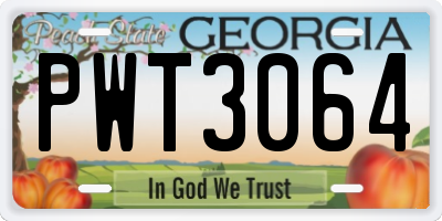 GA license plate PWT3064