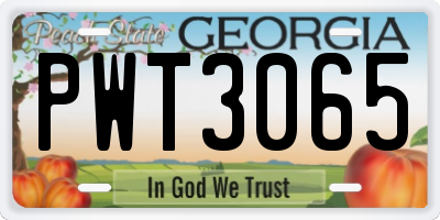 GA license plate PWT3065