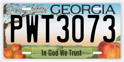 GA license plate PWT3073