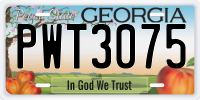 GA license plate PWT3075