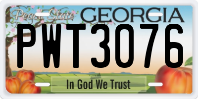 GA license plate PWT3076