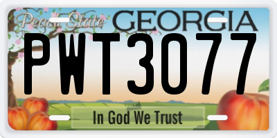 GA license plate PWT3077