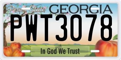 GA license plate PWT3078