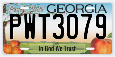 GA license plate PWT3079