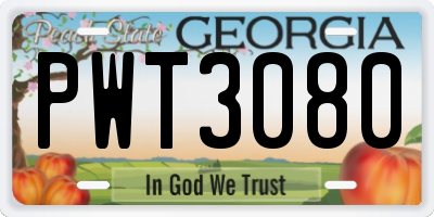 GA license plate PWT3080