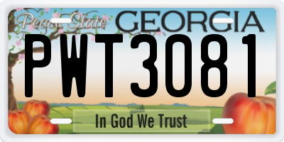 GA license plate PWT3081