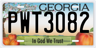 GA license plate PWT3082