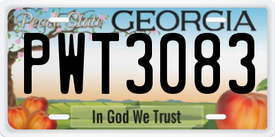 GA license plate PWT3083