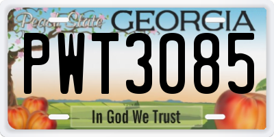 GA license plate PWT3085