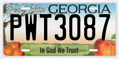 GA license plate PWT3087