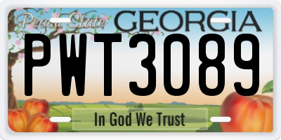 GA license plate PWT3089