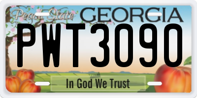 GA license plate PWT3090