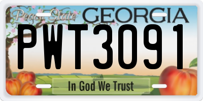 GA license plate PWT3091