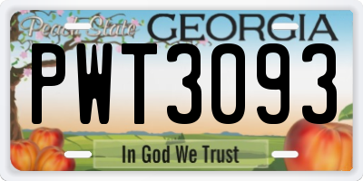 GA license plate PWT3093