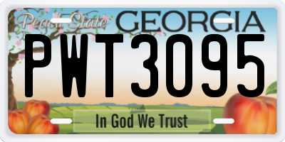 GA license plate PWT3095