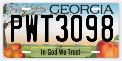 GA license plate PWT3098