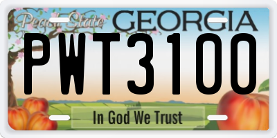GA license plate PWT3100