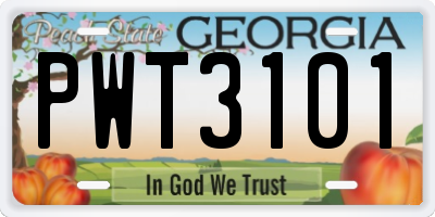 GA license plate PWT3101