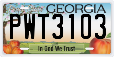 GA license plate PWT3103