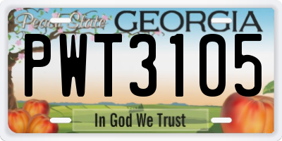 GA license plate PWT3105