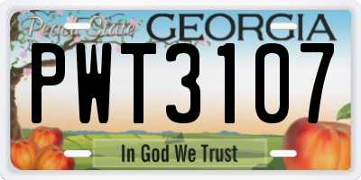 GA license plate PWT3107