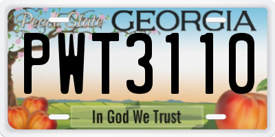 GA license plate PWT3110
