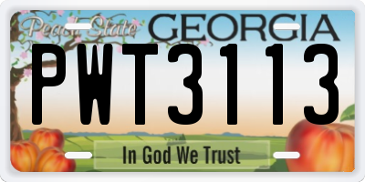 GA license plate PWT3113