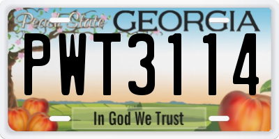 GA license plate PWT3114