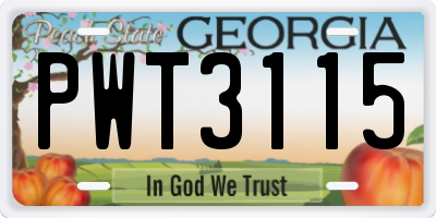 GA license plate PWT3115
