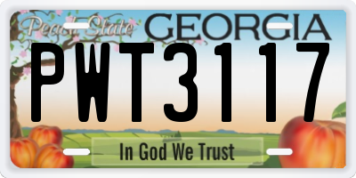 GA license plate PWT3117