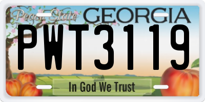 GA license plate PWT3119