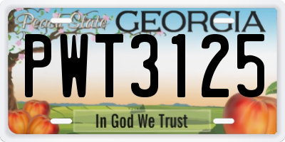 GA license plate PWT3125