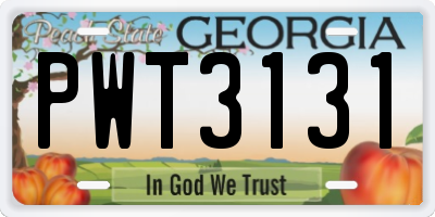 GA license plate PWT3131