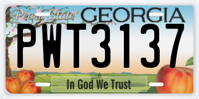 GA license plate PWT3137