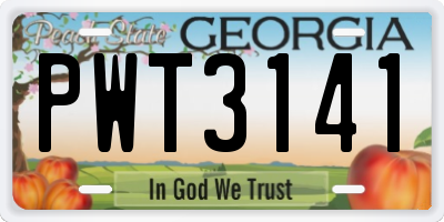 GA license plate PWT3141