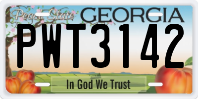 GA license plate PWT3142