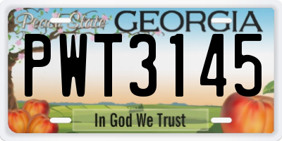 GA license plate PWT3145