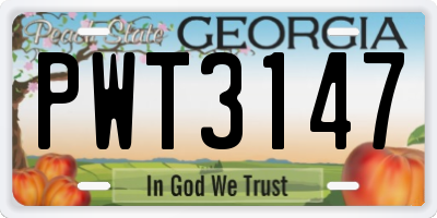 GA license plate PWT3147